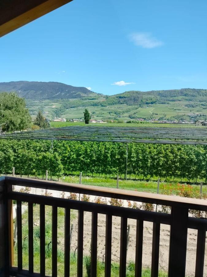Agritur Lavanda Nave San Rocco ภายนอก รูปภาพ
