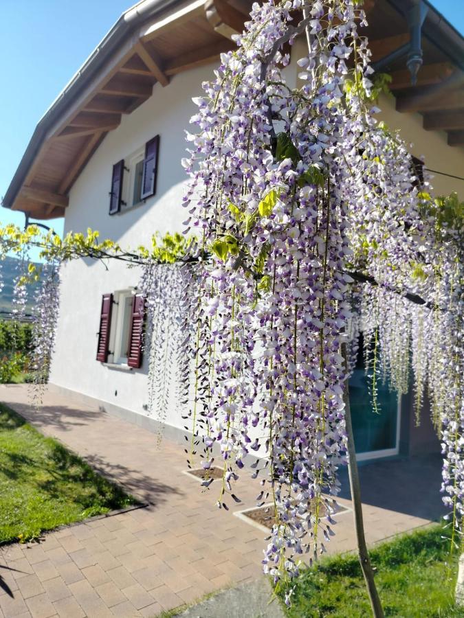 Agritur Lavanda Nave San Rocco ภายนอก รูปภาพ