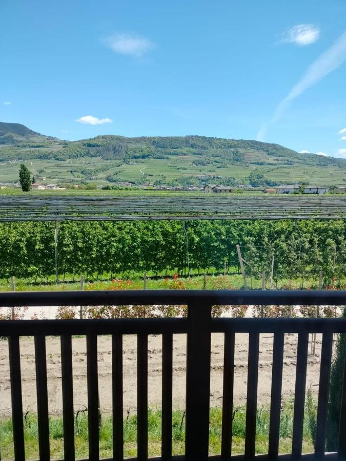 Agritur Lavanda Nave San Rocco ภายนอก รูปภาพ